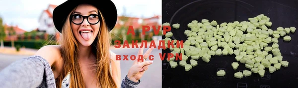 бошки Дмитриев