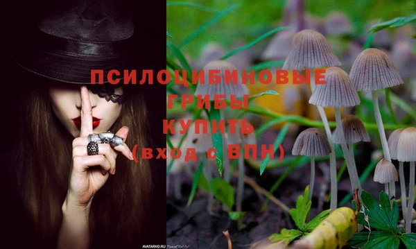 бошки Дмитриев